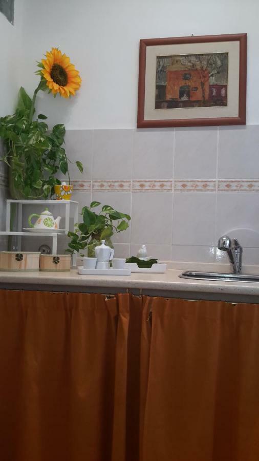 Le Tre Sorelle B&B Garbatella Rzym Zewnętrze zdjęcie